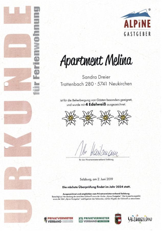 Apartment Melina Нойкірхен-ам-Гросфенедігер Екстер'єр фото